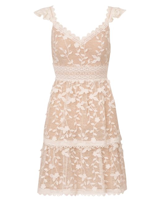 Adrianna Papell Natural Floral Lace Flutter Sleeve Dress