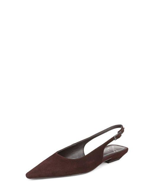 Sam Edelman Brown Netty Slingback Pointed Toe Flat