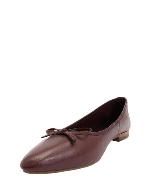 Forever & Always Shoes Multicolor Ruby Leather Pointed Toe Flats