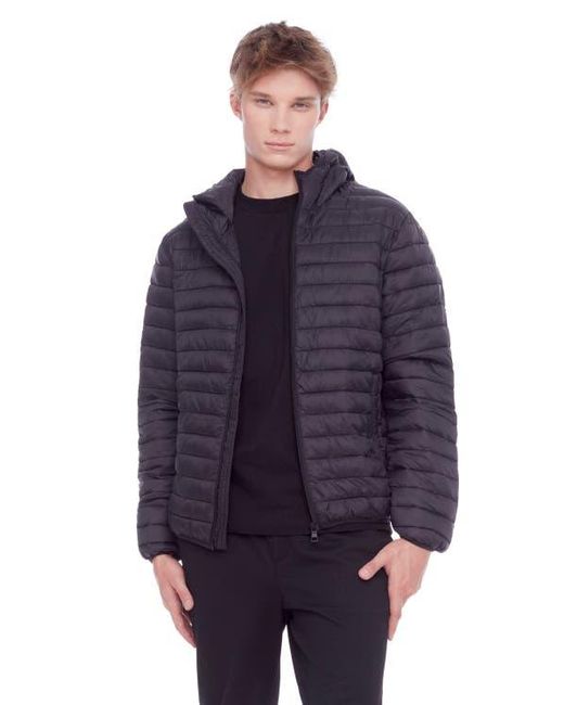 Alpine North Blue Yoho for men