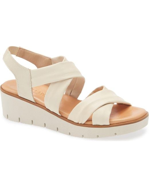 Cordani White Margo Wedge Sandal