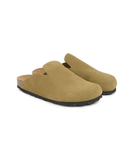 Celtic & Co. Green Minimal Clog