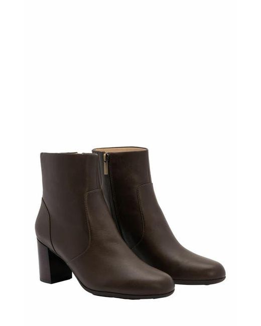 ABEO Brown Tempo Ankle Boot