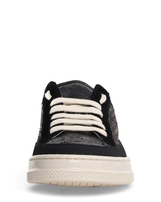 Candice Cooper Black Tim Perforated Leather Lace-Up Sneaker