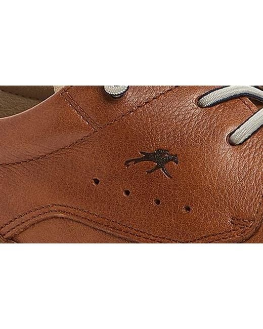 Fluchos Brown Kai Sneaker for men