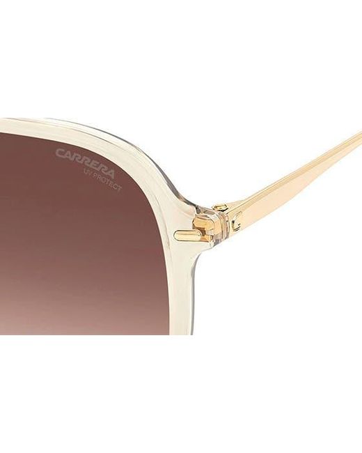 Carrera Brown 58mm Navigator Sunglasses