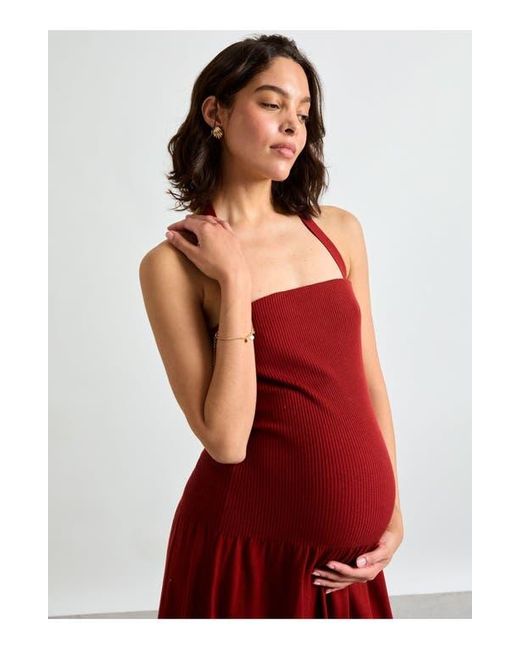 Hatch Collection Red The Fiona Strapless Knit Dress