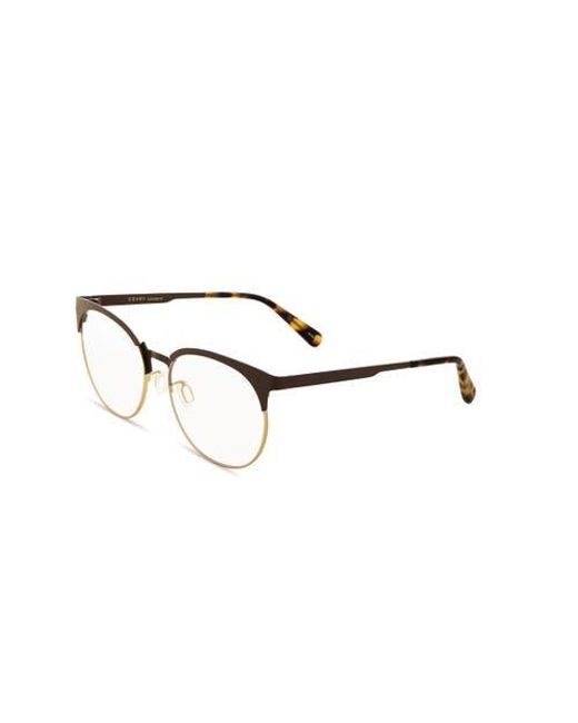 COVRY Brown Hao Light Blocking Glasses