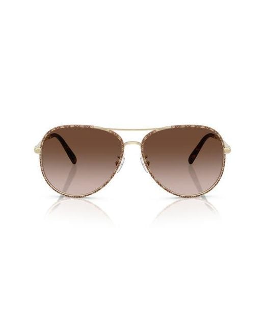 Tory Burch Brown 60Mm Pilot Sunglasses