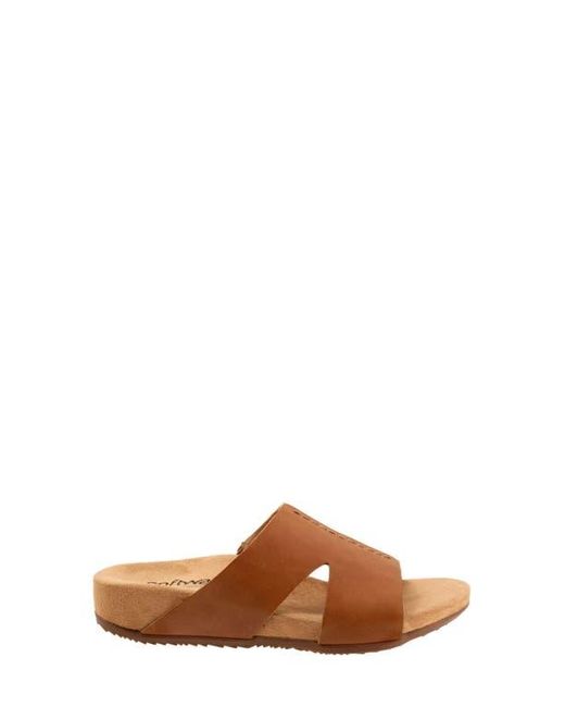 Softwalk® Brown Beverly Sandal