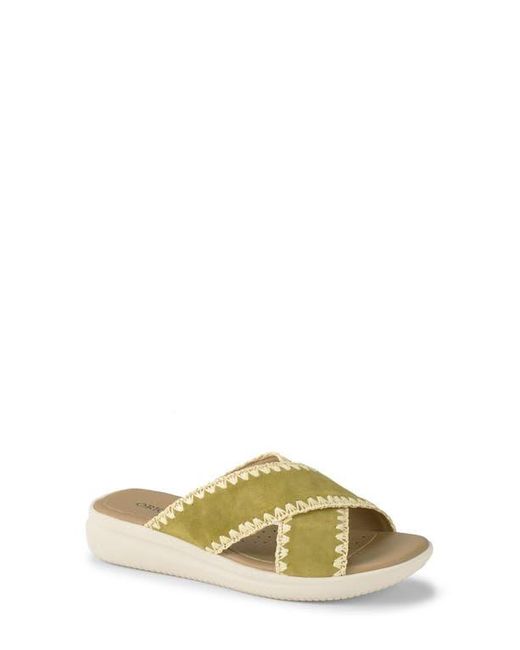 Baretraps Origins Metallic Dolinda Slide Sandal