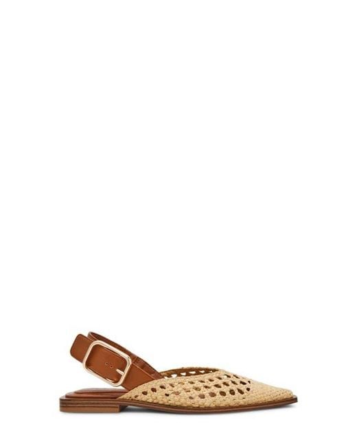 Steve Madden Brown Shay Pointed Toe Slingback Flat