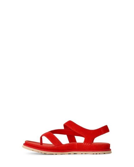 Ugg Red Goldengaze Toe Post Suede Sandal