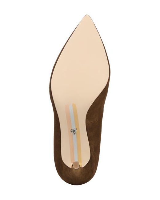 Sam Edelman Brown Hazel Pointed Toe Pump