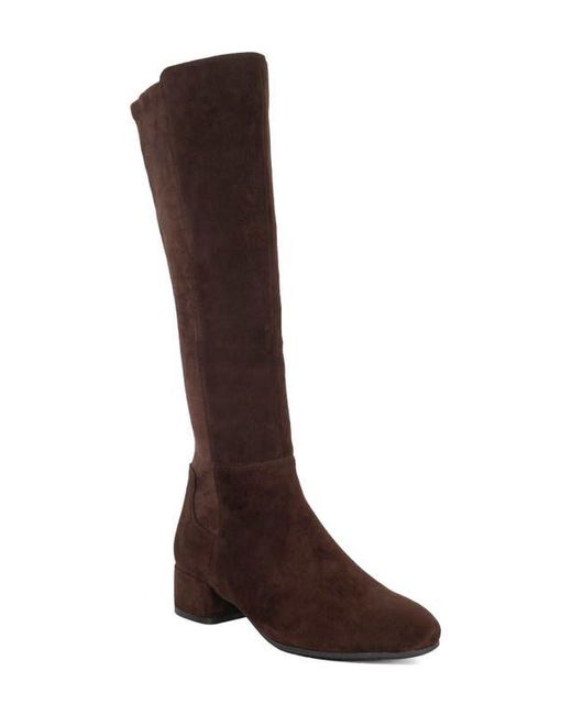Dune Brown Tayla Knee High Boot