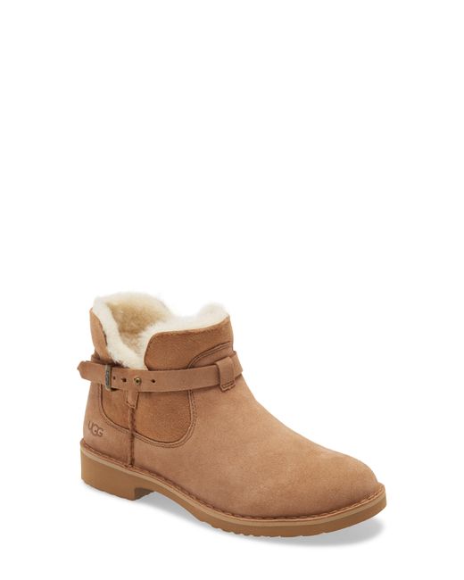 ugg elisiana bootie