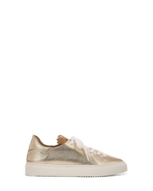 Sam Edelman Natural Poppy Sneaker
