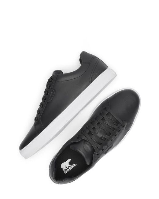 Sorel Black Cyprus Wp Sneaker for men