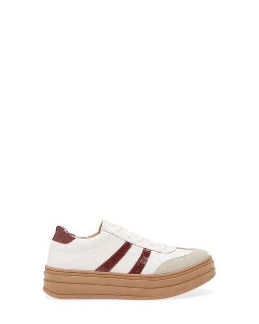 Chocolat Blu White Valox Sneaker