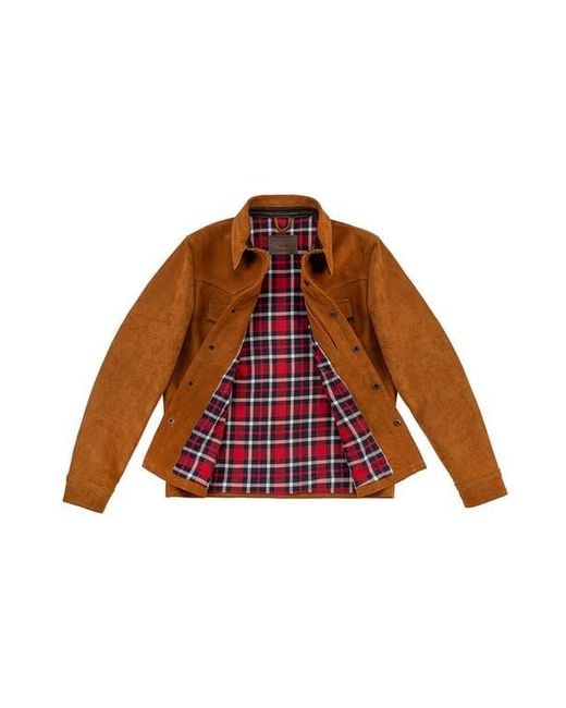 Last Wolf Brown Sequoia Trucker Jacket for men