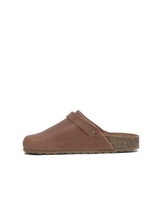 Celtic & Co. Brown Strap Detail Clog