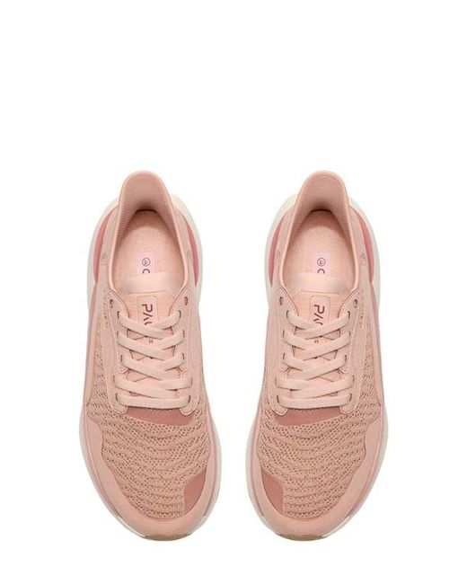 Clarks Pink Pace Sneaker