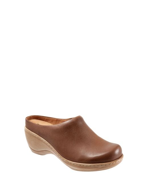 Softwalk® Brown Madison Clog