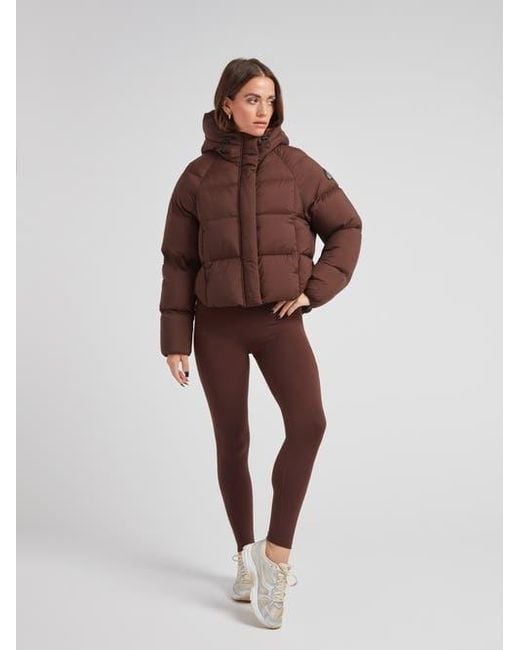 Jacket Brown Cloud Cropped Hooded Puffer Jacket