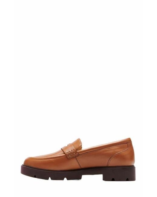 ABEO Brown Boulevard Loafer