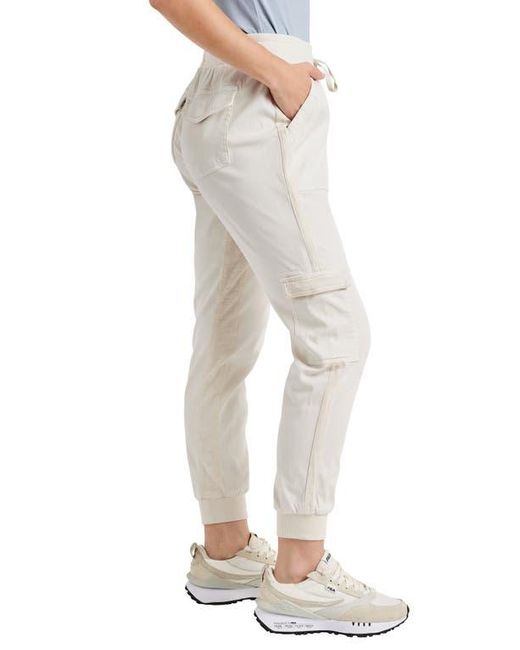 Splendid Multicolor Jaclyn Drawstring Waist Joggers