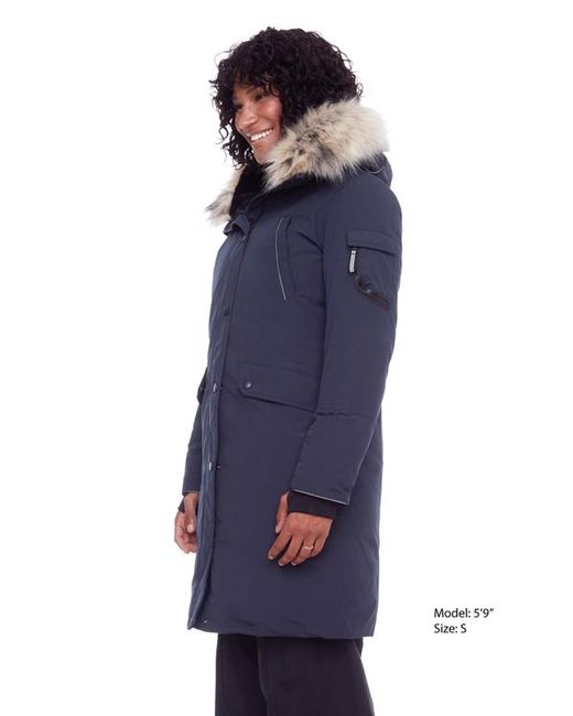 Alpine North Blue Laurentian