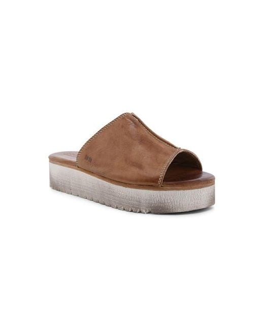Bed Stu Brown Fairlee Ii Platform Slide