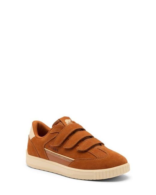 Sorel Brown Ona Drift Strap Sneaker