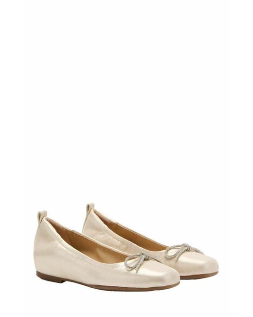 ABEO White Cadence Bow Ballet Flat