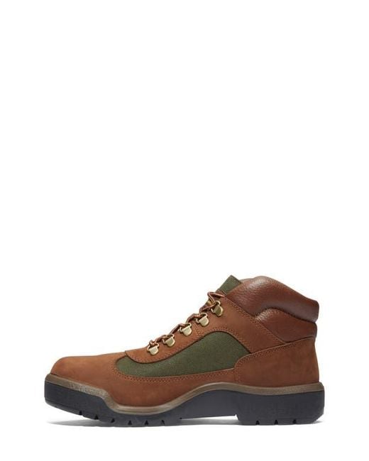 Timberland Brown Field Waterproof Boot for men