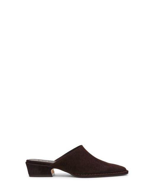 Steve Madden Brown Dessa Mule