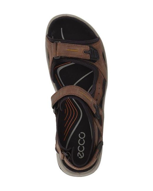 Ecco Brown Yucatan Sandal for men