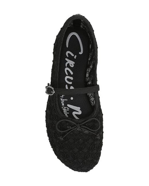 Circus by Sam Edelman Black Sofie Mesh Ballet Flat