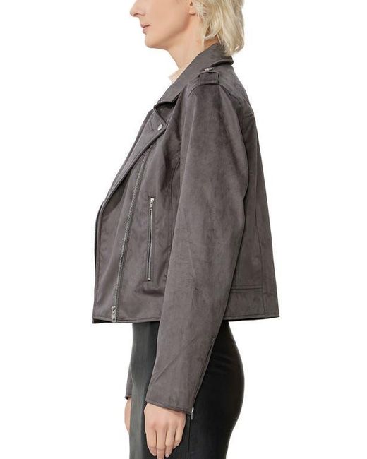 Kimi + Kai Gray Willa Faux Suede Moto Jacket