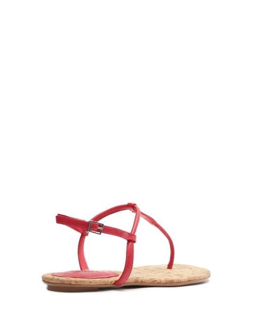SCHUTZ SHOES Red Elsha T-Strap Sandal