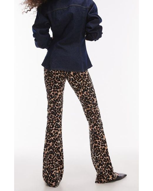 TOPSHOP Blue Leopard Print Bootcut Pants