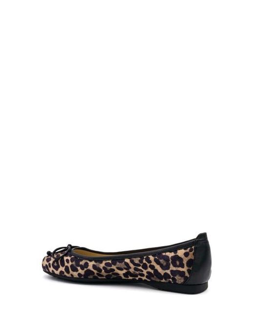 Amalfi by Rangoni White Dana Leopard Print Ballet Flat