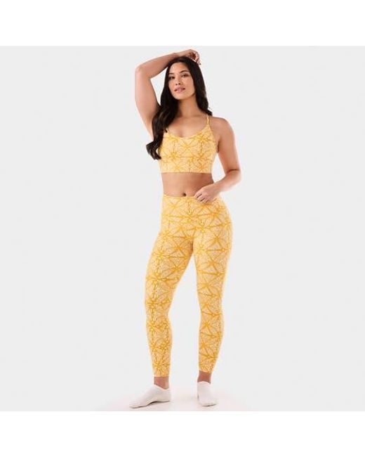 Tavi Orange Boost Bra