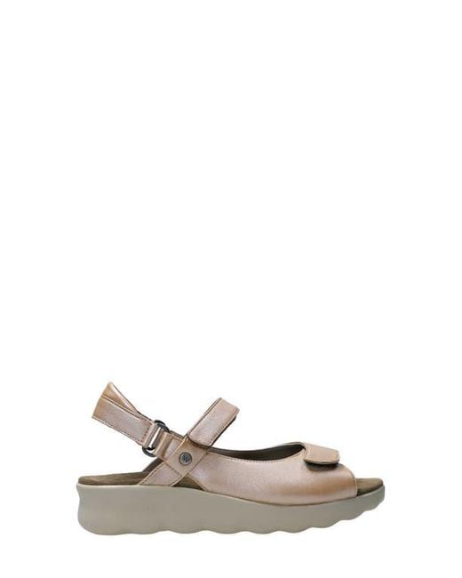 Wolky Brown Pichu Quarter Strap Sandal