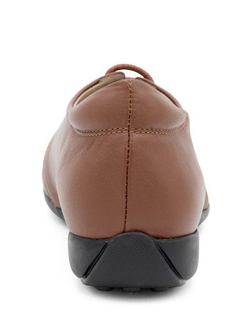 Amalfi by Rangoni Brown Jasmine Derby