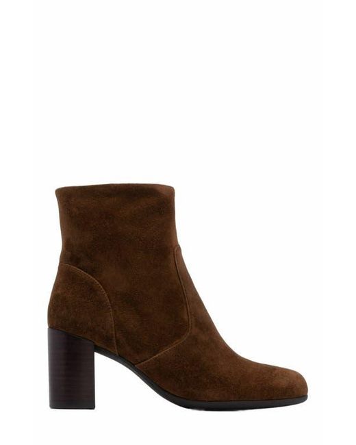 ABEO Brown Tempo Ankle Boot