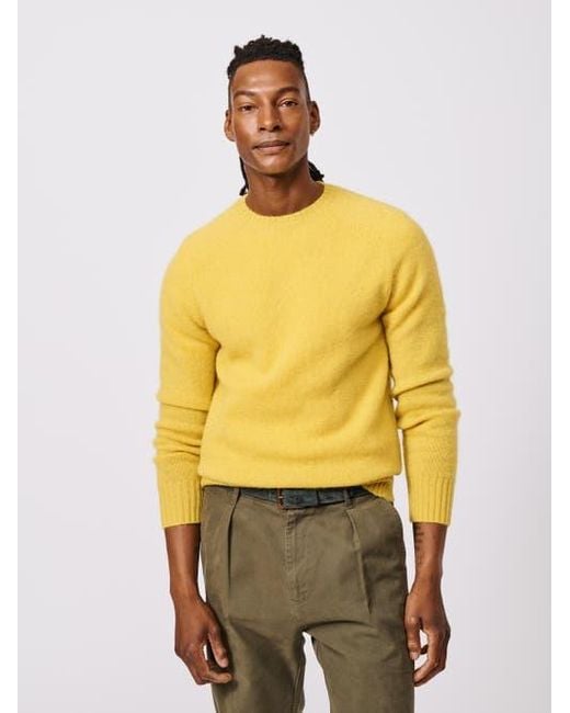 aubi Yellow Prestwick Shetland Crew Neck Sweater for men