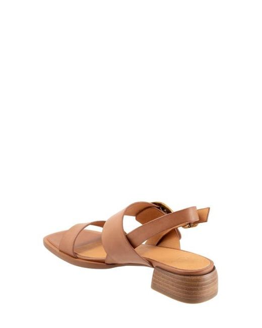 EOS FOOTWEAR Brown Tegan Block Heel Sandal