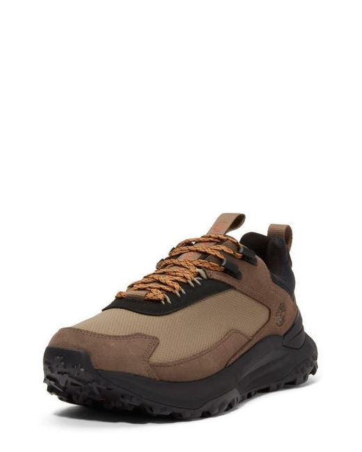 Timberland Brown Motion Access Waterproof Sneaker for men