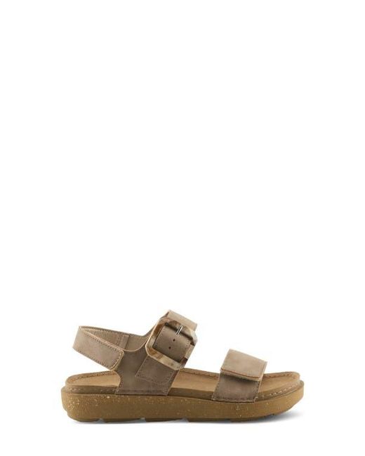Flexus by Spring Step Brown Bravies Ankle Strap Sandal